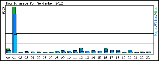 Hourly usage