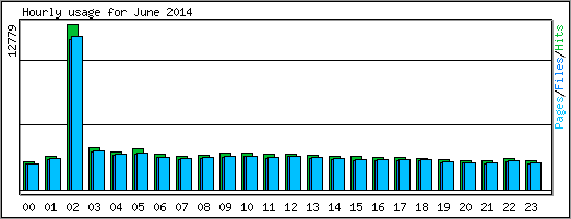 Hourly usage