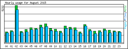 Hourly usage