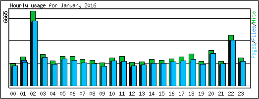 Hourly usage