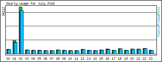 Hourly usage