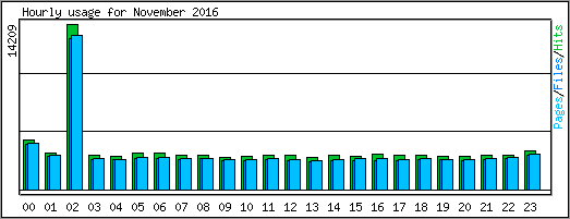 Hourly usage