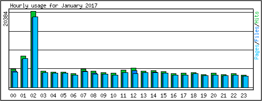 Hourly usage