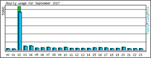 Hourly usage