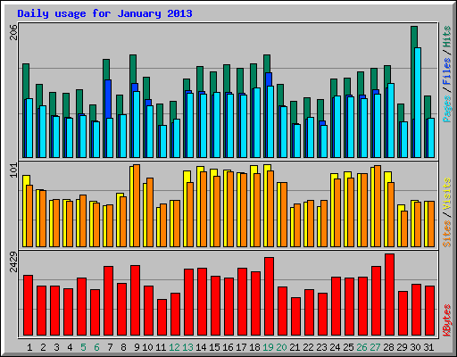 Daily usage for January 2013
