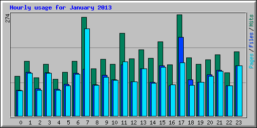 Hourly usage for January 2013