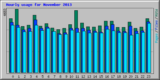 Hourly usage for November 2013