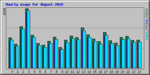 Hourly usage for August 2016