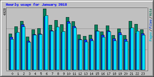 Hourly usage for January 2018